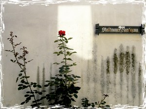 Freinsheim (Deutschland)