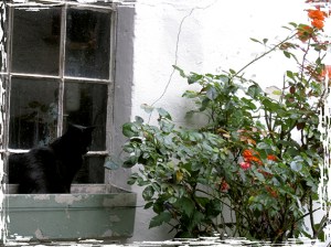 Freinsheim (Deutschland)